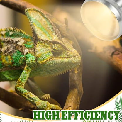 4 Pack 100 Watt Heat Lamp Bulbs for Reptiles 120V UVA Simulated Natural Sunlight Heating Lamp Bulb Basking Light for Chickens, Bearded Dragon, Lizard, Gecko, Turtle
