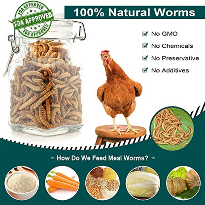5LB 100% Natural Non-GMO High Protein Dried Mealworms, Large Size No Moisture, Perfect for Chickens Birds Hedgehog Hamster Fish Reptile Turtles - size: 5 Pound (Pack of 1)