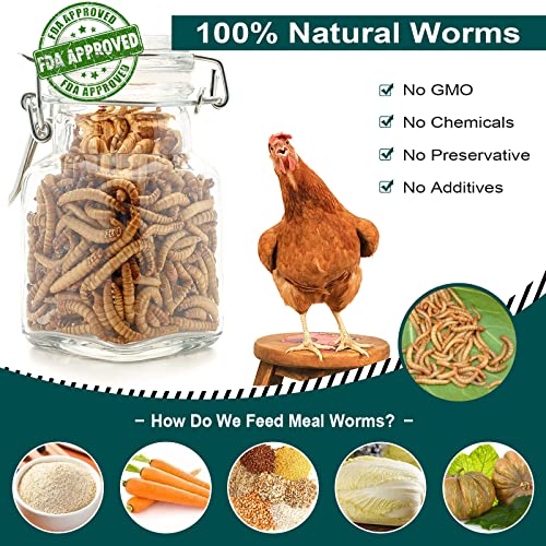 22LB Non-GMO Dried Mealworms, 100% Natural Large Size No Moisture, Mealworms for Chickens, Birds, Hedgehog, Hamster, Fish, Reptile, Turtles - size: 22 Pound (Pack of 1)