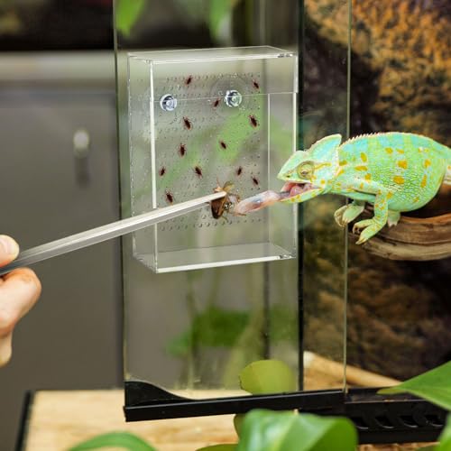 Geyoga Bearded Dragon Feeder with Suction Cups and 2 Tweezers Chameleon Bug Bowl Bug Feeder for Bearded Dragon Acrylic Reptile Feeding Box Tank and Aquarium Accessories for Lizard Gecko Frog(Clear) - color: Clear