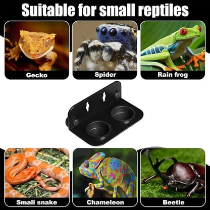 Gecko Feeding Ledge, Hanging Double Reptile Feeder Bowl with Suction Cup, Reptile Food & Water Dish for Arboreal Reptiles, Tree Frogs, Geckos, Beetles