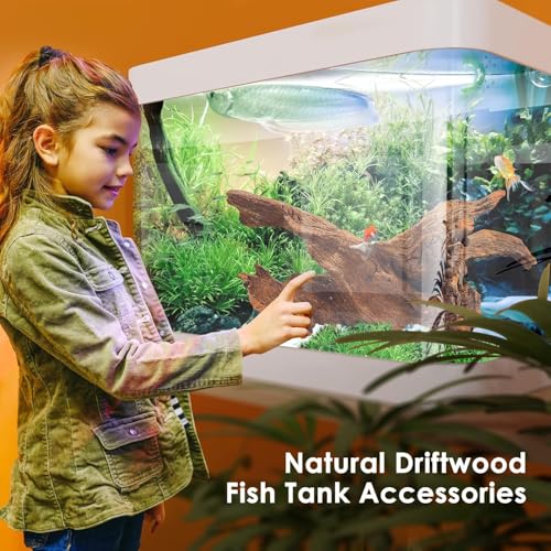 Jorewood Natural Large Aquarium Driftwood for Fish Tanks & Reptile Terrariums – Safe Fish Tank Decorations, Unique Twisted Branches 2-Piece 14-18 Inch Low Tannin, Easy to Sink - size: Large Mopani Driftwood 14 to 18 Inch (Pack of 2)