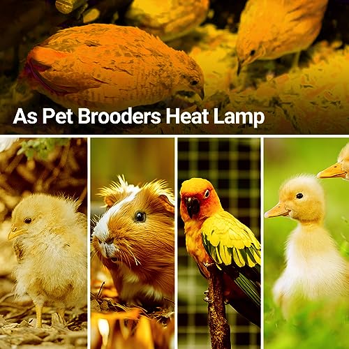REPTI ZOO 50W Reptile Heat Lamp Bulb,2 Pack Intense Spot Basking Light,UVA Daylight Heating Lamp Bulb for Reptile & Amphibians & Chicken Brooder,Bearded Dragon, Lizard, Tortoise - style: 50W/Daylight