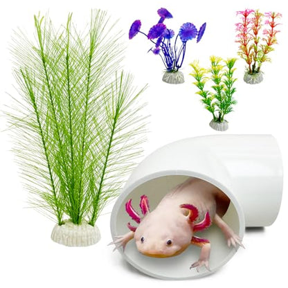 Hamiledyi Axolotl Hideout Tube Set Resting Tunnel for Aquarium Axolotl Cave Hideout Fish Tank Accessories Habitat Shelter for Turtle Betta Fish Lizard and Other Small Reptiles and Amphibians