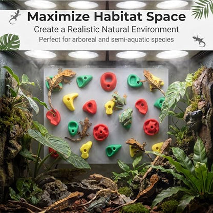 2-Pack Climbing Wall for Reptiles, Terrarium Habitat Decor | 2PCS Climbing Wall for Reptiles for bearded dragons, leopard geckos, habitat decor & enrichment
