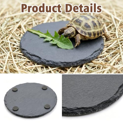Turtle Basking Platform, 3.9 X 3.9 Inch Reptile Basking Platform | Tortoise Rock Plate Reptile Food Dish Landscape Habitat Decor for Gecko Lizard Bearded Dragon Turtle