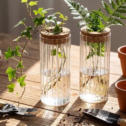 6 Set Propagation Station Jar Desktop Glass Planter Station Flower Vases Water Terrarium Jar with Cork Lid for Propagating Flower Plants Centerpiece Office Home Garden Decor(Medium) - size: Medium