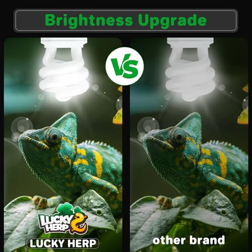 LUCKY HERP UVA UVB Reptile Light 5.0, Tropical UVB 100 Compact Fluorescent Lamp, UVB Light for Reptiles 15W, UVA UVB Reptile Light Bulb, UVB Bulb for Reptiles Chameleons Lizards Tortoises Snakes - style: UVB5.0 15W
