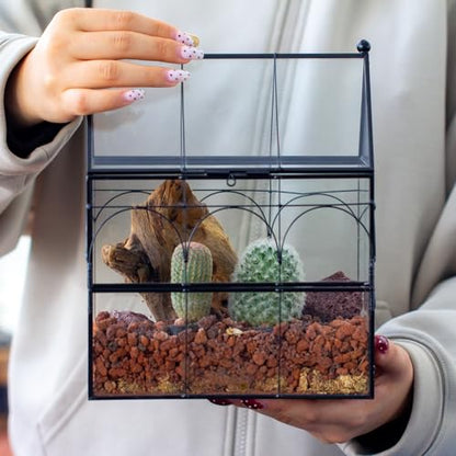 NCYP Glass Enclosure with Vent Holes for Jumping Spiders, Praying Mantis, Small Insect - 7.5" x 4.9" x 9" Front Opening Door Vented Glass Terrarium - House Shape, Home Decor, Black (Terrarium Only) - size: 7.5" x 4.9" x 9"