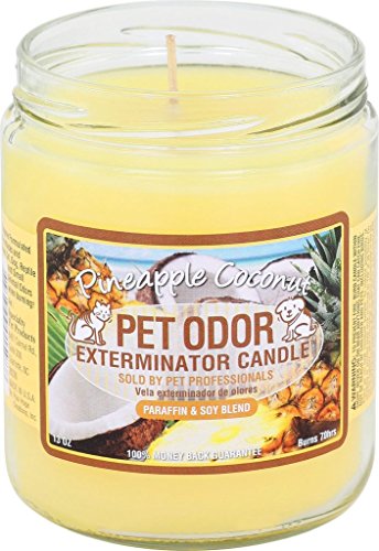 Pet Odor Exterminator Candle Pineapple Coconut - color: Pineapple & Coconut