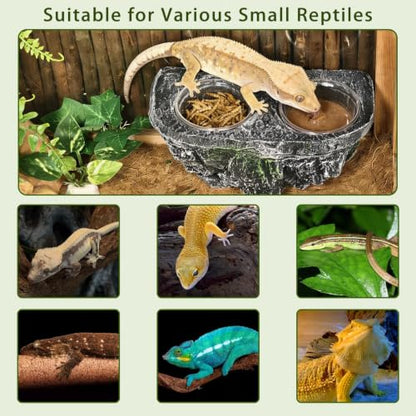 Tfwadmx Magnetic Reptile Feeder Ledge, Gecko Feeder Ledge with 6 Cups Reptile Feeding Bowls Food Dish Water Bowl Tank Accessories for Lizards Chameleons Frog(Grey) - color: Grey
