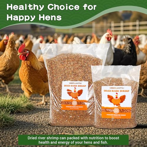 5lb Dried River Shrimp for Chicken, High Protein Natural Treat | Red Dried Shrimp Loved by Turtles, Reptiles, Fish & Poultry, Perfect for Aquariums, Ponds, Backyard Chickens Laying Hens Bird - size: 5 Pound (Pack of 1)