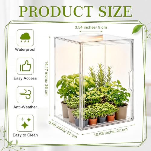 Novabright Mini Greenhouse Indoor with Grow Light Clear Acrylic Plant Cabinet, Tabletop Indoor Greenhouse Kit DUSB White & Warm Light for Succulents, Herbs (Without Dividers)