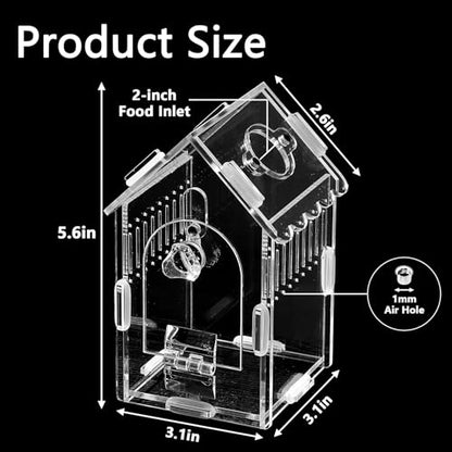 House-Shaped Acrylic Spider Enclosure, Clear Habitat with Feeding Port | Clear acrylic enclosure with feeding port, ventilation, and house-shaped design for jumping spiders and small invertebrates. - size: Acrylic House
