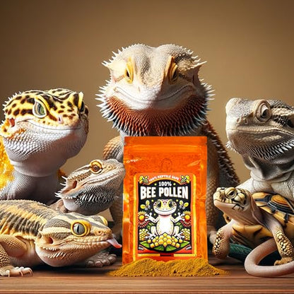 100% Bee Pollen Powder - Food for Reptiles | Single-ingredient food topper for bearded dragons, tortoises and other herbivorous or omnivorous reptiles