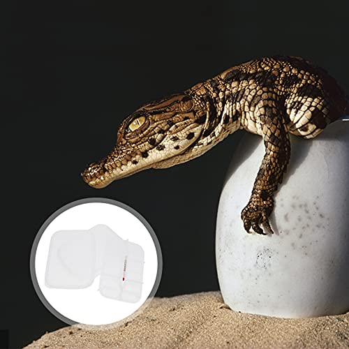 balacoo 12 Eggs Incubator Tray Snake Gecko Lizard Box Reptile Hatchery Breeding Incubator