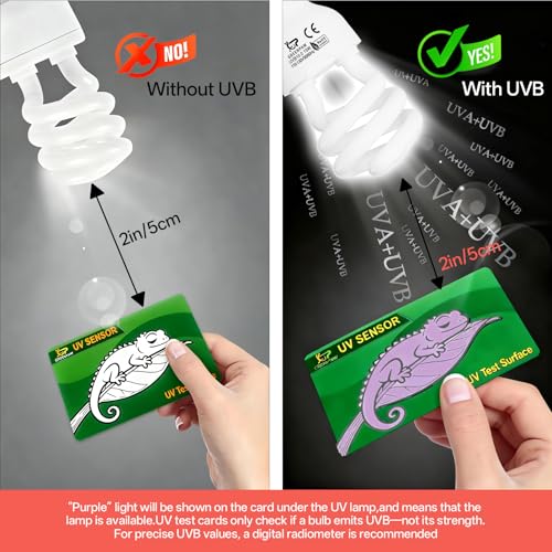 UVB Light for Reptiles 15.0: 15W Intense Desert UVA UVB Bulb for Reptiles - Reptile UVB Light Terrarium Compact Fluorescent Lamp- UVB Light for Reptile and Amphibian with A Free UV Sensor Card - size: 5.5INCH-15.0