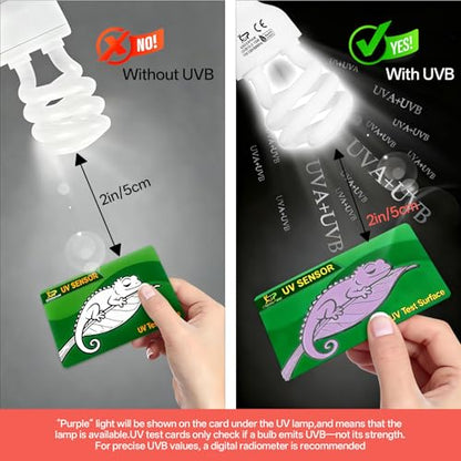 UVB Light for Reptiles 15.0: 15W Intense Desert UVA UVB Bulb for Reptiles - Reptile UVB Light Terrarium Compact Fluorescent Lamp- UVB Light for Reptile and Amphibian with A Free UV Sensor Card - size: 5.5INCH-15.0