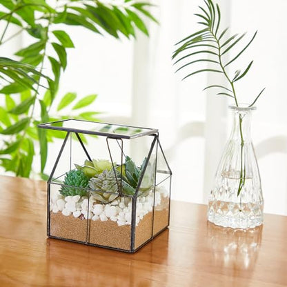 2 Pcs Mini Glass Terrarium Planter with Lid 5 x 4.3 x 4.3'' Small Greenhouse Terrarium Jar Glass Container Pot Tabletop Succulent Small Cacti Air Plant Planter for Indoor Home Garden Office Decor