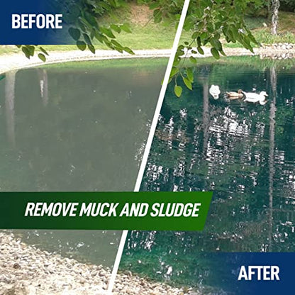 4X Pond Cleaner - Reduces Muck & Sludge for a Clean, Natural Look - Super Concentrated Lake and Water Feature Enzymes Treats Up to 1 Acre, Pair with Dye - Safe for Fish and Wildlife (32 oz) - size: 32 oz