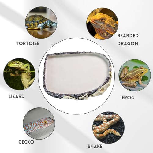Reptile Water Food Bowl Resin Rock,Flat Tortoise Water Feeding Plate Bowl Reptile Habitat Terrarium Enclosure Tank Accessories for Turtle Bearded Dragon Lizard Gecko Chameleon
