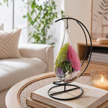 Creations by Nathalie DIY 7" Teardrop Terrarium Kit DIY Terrarium Kit with Live Succulent & Moss, Glass Terrarium Kit for Adults & Teens, Terrarium Moss Kit with Crystals, Handcrafted in the USA - color: Customizable Glass