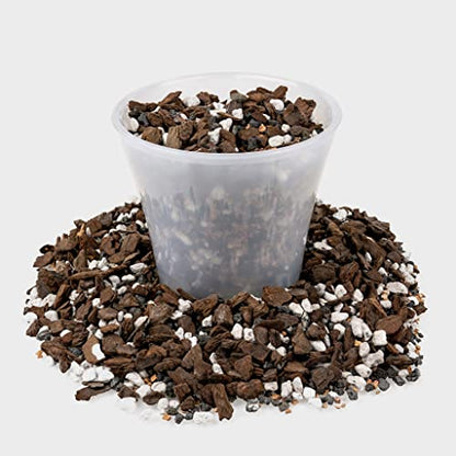 Premium Bonsai Soil All Purpose Fast Draining Mix - Pumice, Lava, Calcined Clay and Pine Bark Potting Pre Mixed Bonsai Plant Soil Mixture by GARDENERA- Made in USA - (2 Quart Bag) - color: BONSAI POTTING MIX, size: 2 Quart