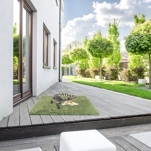 FRCOLOR 2pcs Reptile Habitat Carpet Mat Simulation Moss Terrarium Substrate Liner for Lizards Turtles Snakes Moisture-Resistant Easy-Clean Reptile Habitat Pad