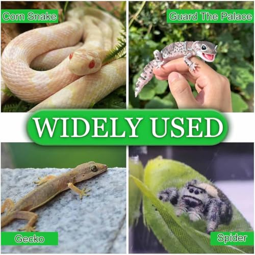 Snake Climbing Stick Adjustable Climber for Small Reptiles and Amphibians with U-Shaped Stickers