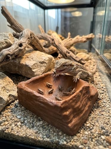 ReptiRock 3D Printed Reptile Worm Dish - Escape-Proof Worms and Mealworm Feeder Bowl - Eco-Friendly PLA Rock Texture Food Water Dish for Bearded Dragon, Gecko, Lizard, Brown