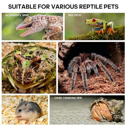 Jumping Spider Enclosure, Insect Terrarium, Bug Cage, Acrylic Terrarium for Tarantula, Snail, Praying Mantis, Frog, and Small Reptiles, Includes Tweezer and Bowl, (11.8" x 7.8" x 5.9") - size: 11.8" x 7.8" x 5.9"