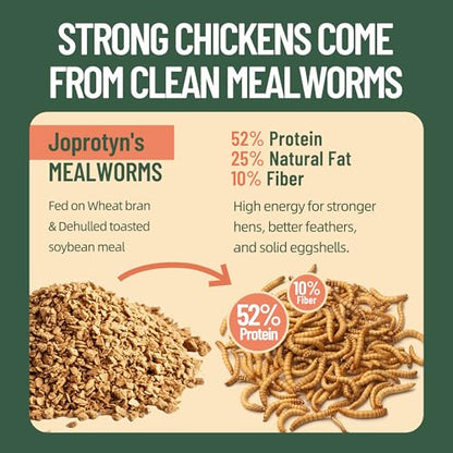 30LB Premium Non-GMO Dried Mealworms - High-Protein Natural Feed & Chicken Treats for Chickens, Ducks, Wild Birds, Quails & Reptiles - Support Egg Production & Feather Growth - size: 30 Pound (Pack of 1)