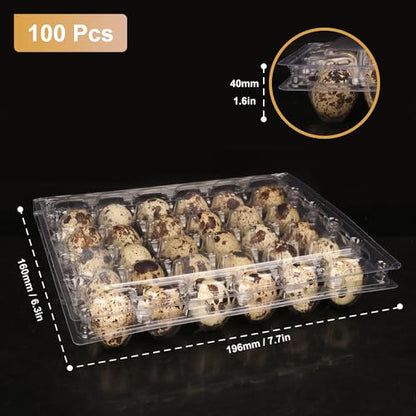 100 Pack Quail Egg Cartons, Clear Plastic Quail Egg Trays, Holds up to 30 Quail Eggs Securely - Your Ultimate Small Eggs Carton Holders for Bulk Storage and Display by KUKLIPJIM - size: 100 Pack Quail Egg Cartons 30 Grids
