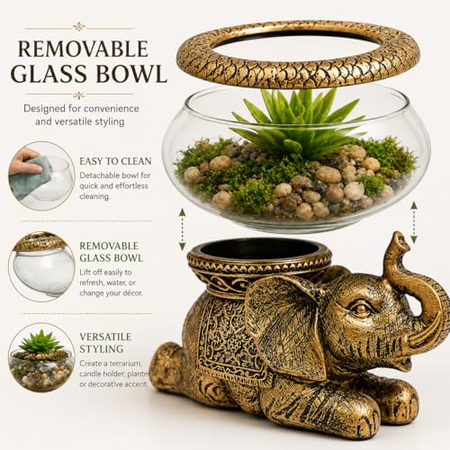 Good Luck Elephant Terrarium Bowl, Antique Gold | Elephant Figurine with Removable Glass Bowl, Succulent Planter, Candle Holder, Air Plant Display, Zen Home Décor Accent - color: Gold Antiqued Elephant Glass