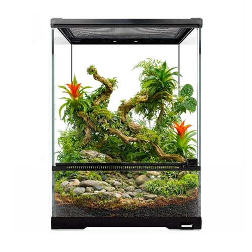 Reptile Glass Terrarium Tank 10 * 10 * 14in, Full View with Front Opening Door,Amphibians Enclosure Habitat Cage for Crested Gecko,Spider,Tarantula,Lizard,Hermit Crab,Frog,Mantises,Insects - size: 10x10x14 inch