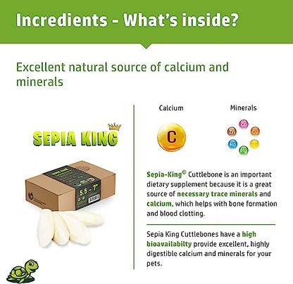 Sepia King - Large - 100% Natural Calcium Supplement - Premium Cuttlebone perfect for Birds, Tortoises, Snails, Reptiles - 5.5 to 7 inch