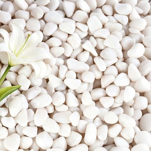 10 lbs White Gravel, 1/2 Inch Garden Pebbles, Decorative Rocks for Potted Plants,Suitable for Vases, Cactus Potted Plants, Fish Tanks - color: White, size: 1/2 Inch 10 LB