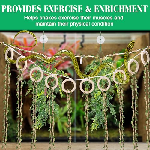 Snake Climbing Vines with Jungle Vines Kit for Reptiles | Snake Enclosure Accessories for Ball Pythons, Corn Snakes, Bearded Dragon, Chameleon, Lizard, Snake Enrichment Toys