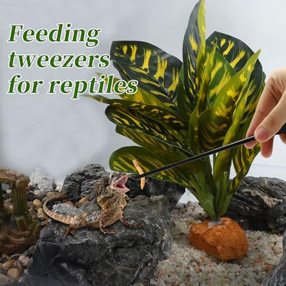 Reptile Feeding Tongs, Stainless Steel Lizard Feeding Tongs, Aquarium Straight Feeding Tweezers for Reptiles with Rubber Tip, Terrarium Feeding Tong for Gecko, 10.63" Length, Black - size: 10.63"