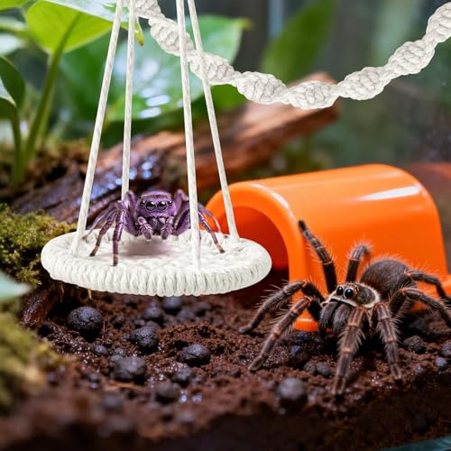 5 PCS Jumping Spider Rope Bridge Swings Set，Jumping Spider Webbed Moss Ribbon Tarantula Enclosure Accessories Natural Cotton Rope Handmade Pet Tiny Animals Enclosure Decorations - size: Style A