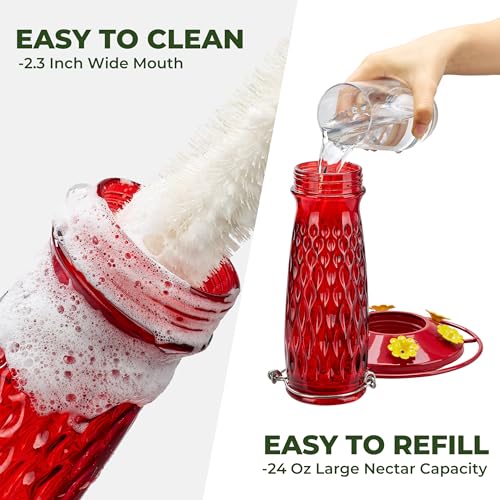 Kingsyard Glass Hummingbird Feeder for Outdoors with Ant Moat | 24 oz, Wide-Mouth Opening, 6 Metal Feeding Ports, Bee Guard, Easy to Clean & Refill Nectar, 360 Degree Perch, Red - color: Red