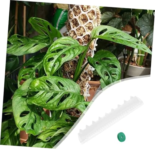 3 Pack Plant Support Stakes Plastic Moss Poles for Indoor Climbing Vines Monstera Plant Stakes Sphagnum Moss Pole Terrarium Decor