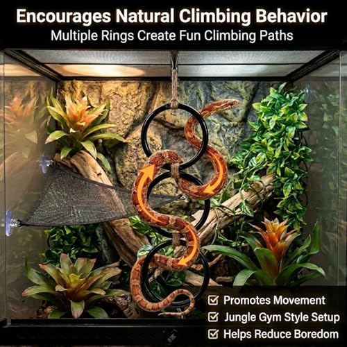 Ball Python Tank Accessories Snake Hammock & Climbing Rings Set | Ball python tank accessory set with snake hammock climbing rings and suction cups for reptile enrichment and habitat setup - color: Black Ring
