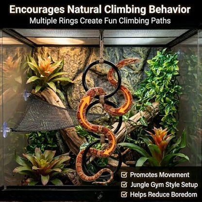 Ball Python Tank Accessories Snake Hammock & Climbing Rings Set | Ball python tank accessory set with snake hammock climbing rings and suction cups for reptile enrichment and habitat setup - color: Black Ring