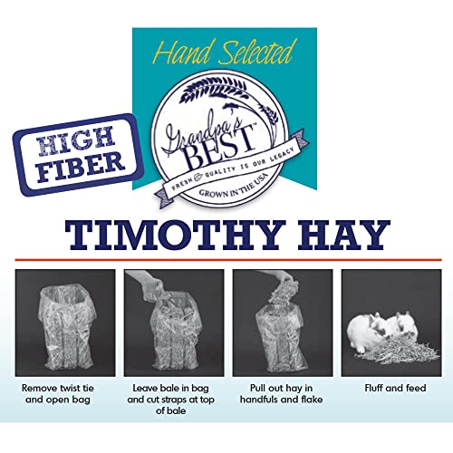 Grandpa's Best Timothy Hay Mini Bale, 10 Lbs (Packaging may vary),Brown - size: 160 Ounce (Pack of 1)