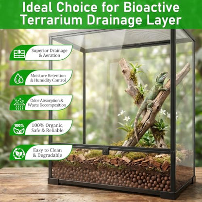 Riare 2LBS Expanded Clay Balls Terrarium Substrate for Reptiles - 100% Organic Lightweight Clay Pebbles Substrate Frogs False Bottom Substrate, Bioactive Terrarium Substrate for Drainage and Moisture - color: 2LB