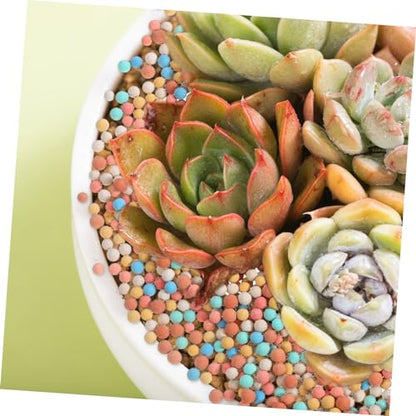 Ceramsite Gardening Decor Hydro Ceramsite Balls for Succulent Cactus Surface Decoration Air Permeable Horticultural Rocks for Use