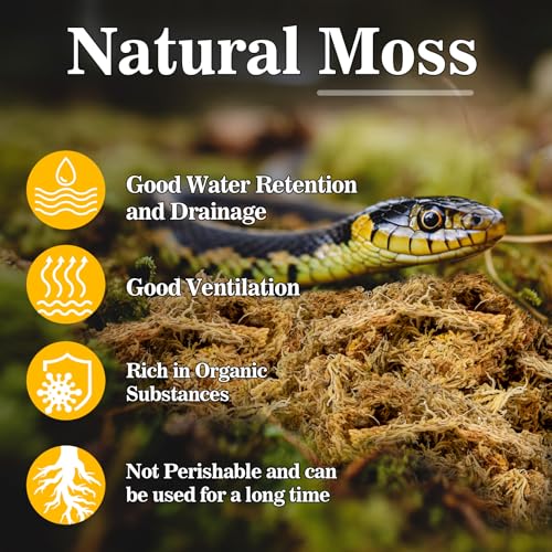 RAINFLOW Sphagnum Moss for Reptiles - 5.6 OZ Reptile Peat Moss for Terrarium Bedding Reptiles Snake Substrate for Reptile Tank, Snake, Leopard Gecko, Ball Python, Crested Gecko, Turtle, Frog, Hamster