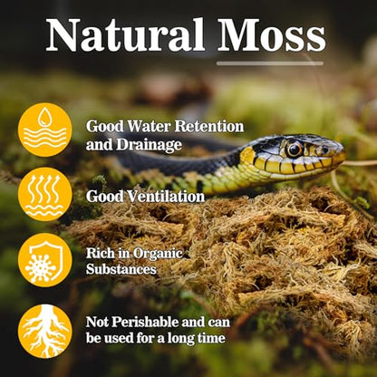 RAINFLOW Sphagnum Moss for Reptiles - 5.6 OZ Reptile Peat Moss for Terrarium Bedding Reptiles Snake Substrate for Reptile Tank, Snake, Leopard Gecko, Ball Python, Crested Gecko, Turtle, Frog, Hamster