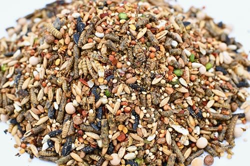 Chicken Fun-DOO Non-GMO, Soy-Free Chicken Treat | Premium Poultry Mealworm, Vegetable & Herb Mix (5 lbs)